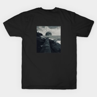 Full Moon Rising T-Shirt